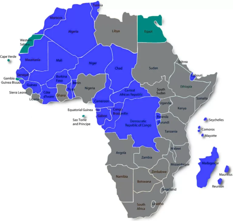 11 Pragas de França em África
